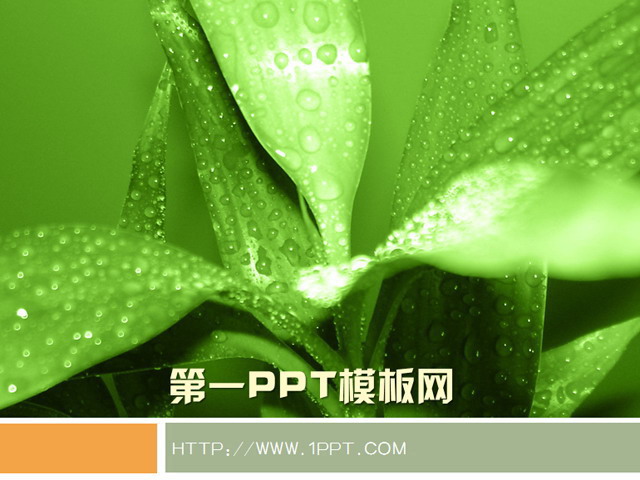 绿色植物背景PPT模板