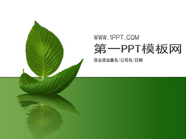 简洁树叶背景植物PPT模板