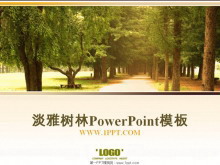 公园树林背景PowerPoint模板下载
