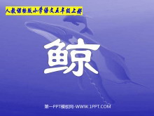 《鲸》PPT课件下载3