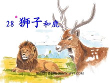 《狮子和鹿》PPT教学课件下载4