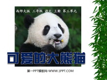 《可爱的大熊猫》PPT课件2