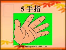 《手指》PPT课件2