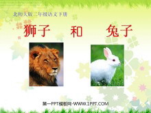 《狮子和兔子》PPT课件2