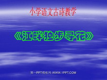 《江畔独步寻花》PPT课件2