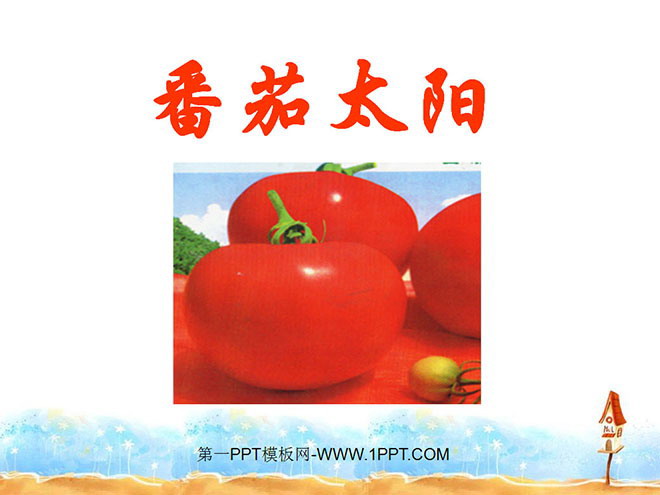 《番茄太阳》PPT课件2