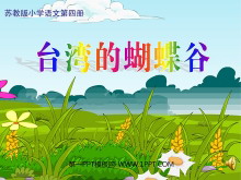 《台湾的蝴蝶谷》PPT课件4