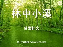 《林中小溪》PPT课件3