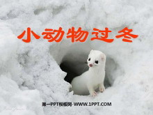 《小动物过冬》PPT课件4