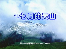 《七月的天山》PPT课件9