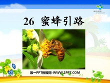 《蜜蜂引路》PPT课件8