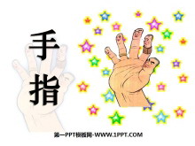 《手指》PPT课件5