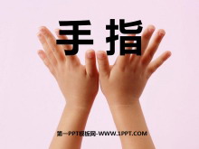 《手指》PPT课件6
