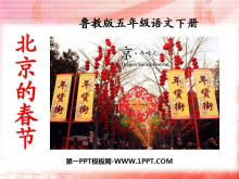 《北京的春节》PPT课件9