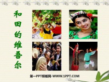 《和田的维吾尔》PPT课件7