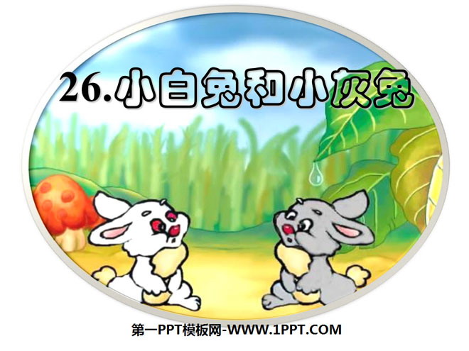 《小白兔和小灰兔》PPT课件7