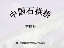 《中国石拱桥》PPT课件8