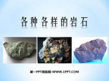《各种各样的岩石》岩石和矿物PPT课件4