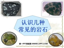 《认识几种常见的岩石》岩石和矿物PPT课件3
