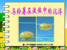 《马铃薯在液体中的沉浮》沉和浮PPT课件