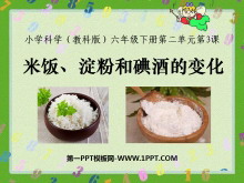 《米饭、淀粉和碘酒的变化》物质的变化PPT课件