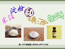 《米饭、淀粉和碘酒的变化》物质的变化PPT课件2