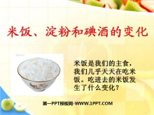《米饭、淀粉和碘酒的变化》物质的变化PPT课件3