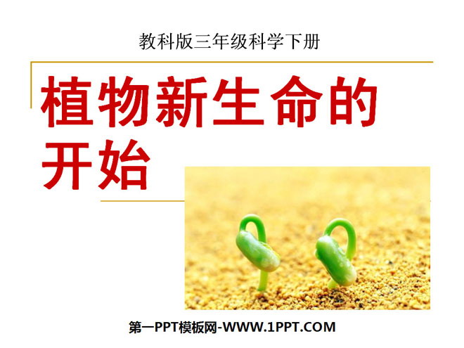 《植物新生命的开始》PPT课件3