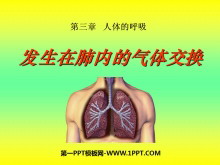 《发生在肺内的气体交换》人体的呼吸PPT课件2