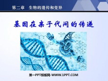 《基因在亲子代间的传递》生物的遗传和变异PPT课件5