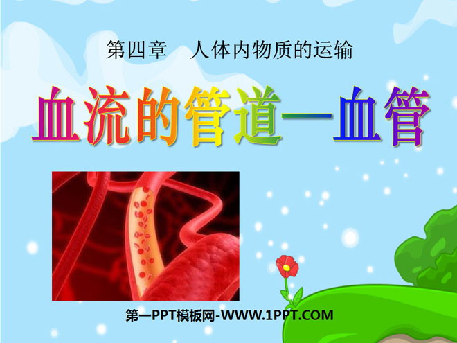 《血流的管道-血管》人体内物质的运输PPT课件2