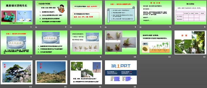 《观察绿豆芽的生长》生物与环境PPT课件2