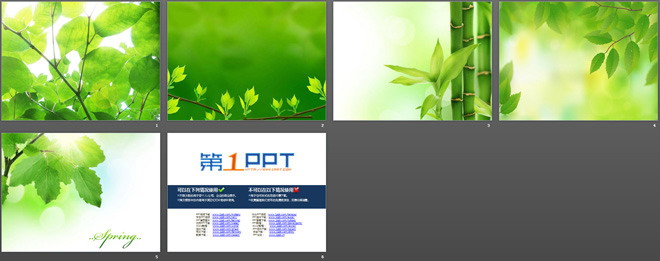 阳光枝叶植物PPT背景图片