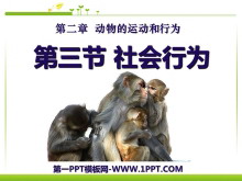 《社会行为》动物的运动和行为PPT课件4