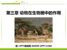 《动物在生物圈中的作用》PPT课件7