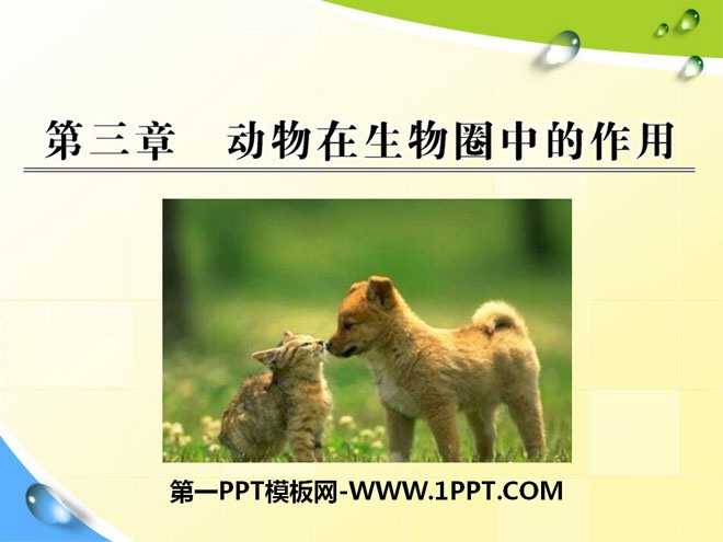 《动物在生物圈中的作用》PPT课件5