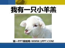《我有一只小羊羔》PPT课件2