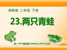 《两只青蛙》PPT课件4