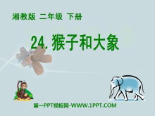 《猴子和大象》PPT课件2