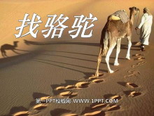 《找骆驼》PPT课件6