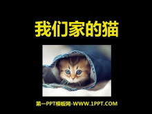 《我们家的猫》PPT课件5