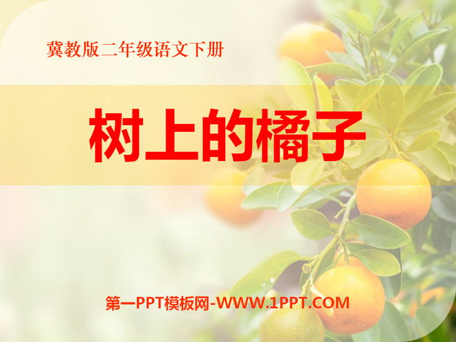 《树上的橘子》PPT课件2