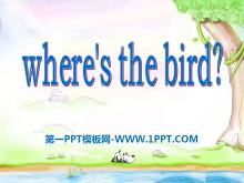 《Where’s the bird?》PPT课件3