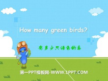 《How many green birds?》PPT课件