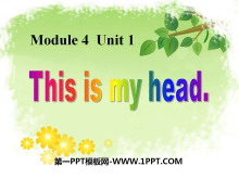 《This is my head》PPT课件4