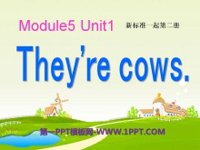 《They/re cows》PPT课件