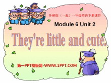 《They’re little and cute》PPT课件2