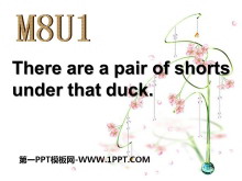 《There/s a pair of shorts under that duck》PPT课件2