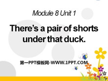 《There/s a pair of shorts under that duck》PPT课件3
