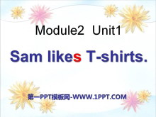 《Sam like T-shirts》PPT课件3